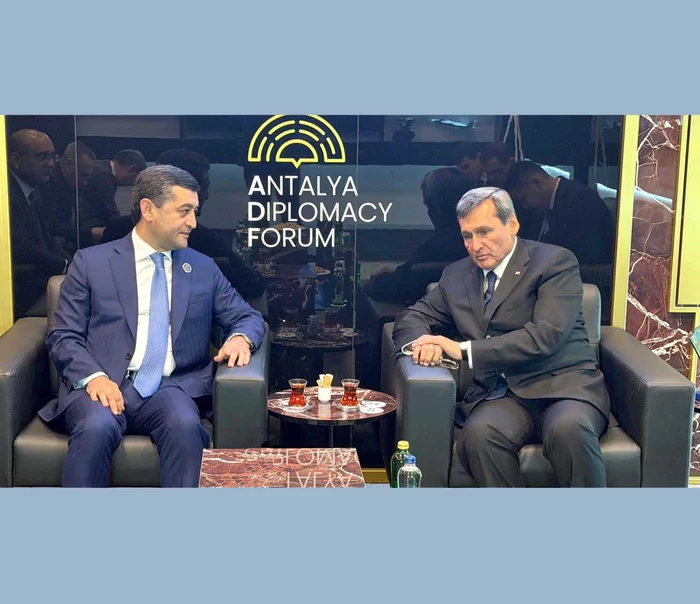 Daşary syýasat edaralarynyň ýolbaşçylarynyň duşuşygy: Türkmen-özbek gatnaşyklarynyň esasy ugurlary bellenildi