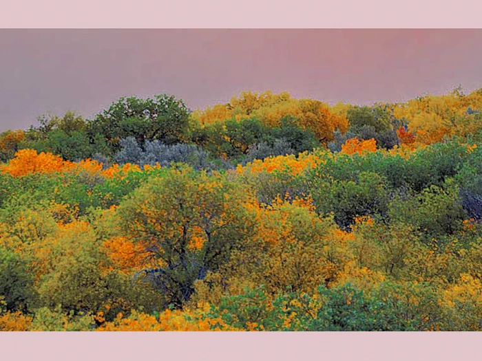 Mizan döwri başlandy: Gyş bilen tomsuň arasyndaky terezi hasaplanýan döwürde gije uzap, gündiz gysgalyp başlaýar