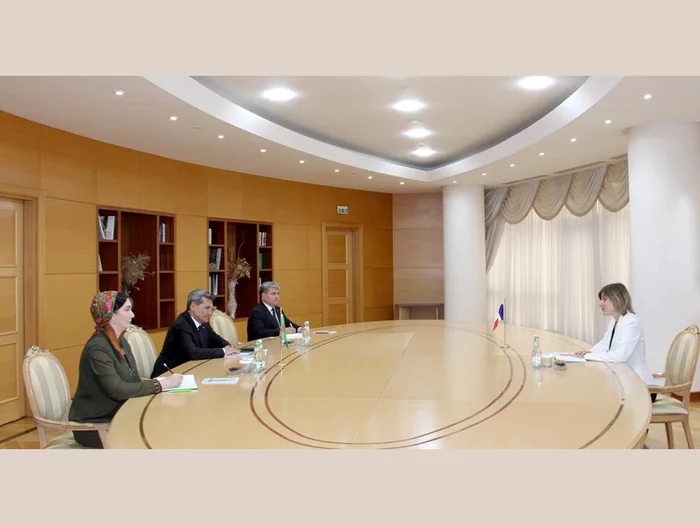Raşid Meredow Fransiýanyň täze bellenen ilçisi bilen duşuşyk geçirdi