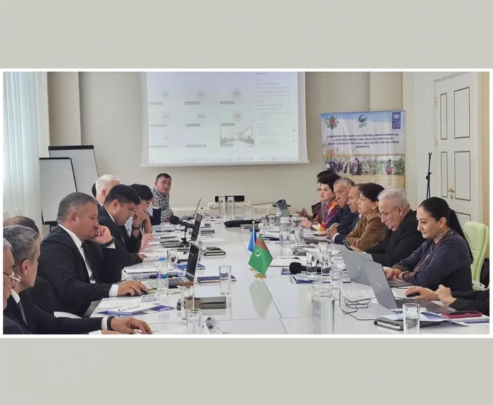 Aralyň basseýni üçin BMG-niň Ýörite maksatnamasy boýunça sebitara konsultatiw duşuşyk