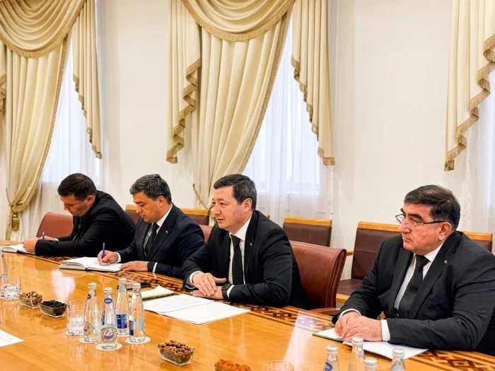 Türkmenistan we Gruziýa akademiki hyzmatdaşlygyň täze derejesine çykýar